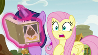 Fluttershy "then came here and caused" S9E22