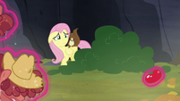 Fluttershy comes out of hiding S5E23