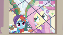 Fluttershy thinks about what she doesn't like MLPBGE