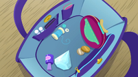 Interior view of Rarity's purse EGDS12