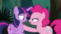 Pinkie "if you weren't so worried about schedules" S8E13