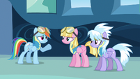 Rainbow asking which one of these lucky gals is her wingpony.