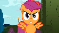 Scootaloo Chaos S02E01