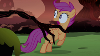 Scootaloo scared by a tree S3E06