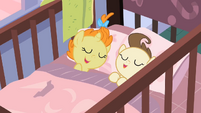 Sleeping twins S2E13