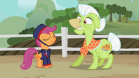 Scootaloo smiling confidently as Granny Smith reads the telegram.