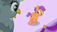 Tender Taps shows his cutie mark to Gabby S6E19