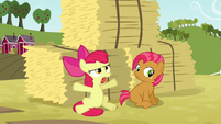 Apple Bloom 'but that was ridiculous!' S3E08