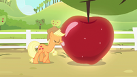Applejack shining the apple S4E7