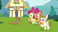 CMC and Zipporwhill with Ripley and dog toys S7E6