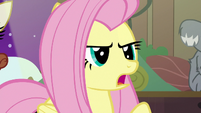 Fluttershy "I won't give up!" S7E5