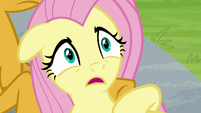 Fluttershy "a whole lot of time" S9E15