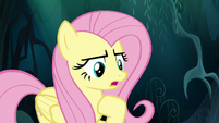 Fluttershy -you can come back with me- S6E11