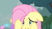 Fluttershy becomes scared S4E14