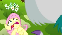 Looks like Fluttershy's having a heart attack!