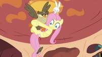 Fluttershy clings to Owlowiscious S03E11