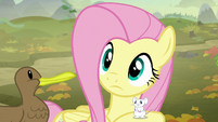 Fluttershy hears another sound S5E23