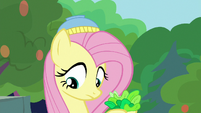 Fluttershy looking down at Angel S8E4