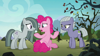 Pinkie Pie asking her sisters for help S8E3