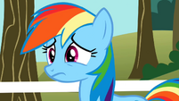 Rainbow Dash upset S2E15