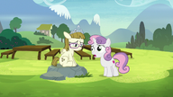 S07E06 Sweetie Belle rozmawia z Zipporwhill