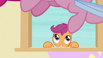 Scootaloo watches Pinkie jump back and forth S8E12