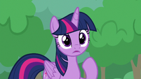 Twilight surprised by the bowing S9E25