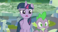 "Pinkie? Fluttershy?"
