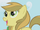Apple Fritter