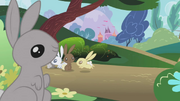 Bunnies hopping around S1E04