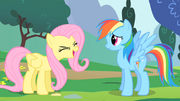 Fluttershy final yay S1E16