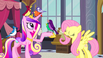 Princess Cadance and Fluttershy with birds S2E26