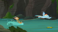 Quibble Pants water-skiing with Rainbow Dash S6E13