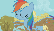 Rainbow Dash llevando a los polluelos en sus alas