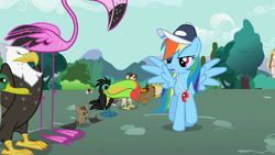 Rainbow Dash's Speech S2E7.png