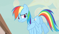 Rainbow Dash "give up our cutie marks?" S5E1