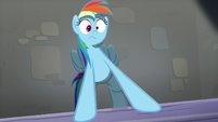 Rainbow Dash shocked S5E15