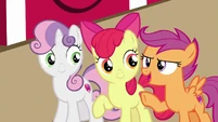 Scootaloo "that sure is a lot of apples!" S7E8.png (1.04 MB) "That sure is a lot of apples!"