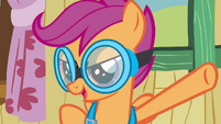 Scootaloo 'We're getting our skydiving cutie marks today!' S3E11