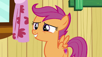 Scootaloo --what you should do with your life-- S6E19