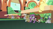 Spike, CMC, and the pets hiding S03E12