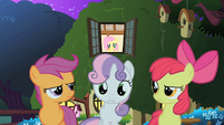 The CMC outside of Fluttershy's cottage S1E17