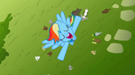 Rainbow Dash sings her heart out once more.