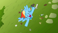 Rainbow Dash sings her heart out once more.