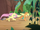 AJ and Fluttershy return with foal's-breath S8E23.png