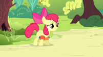 Apple Bloom "Please?" S4E20