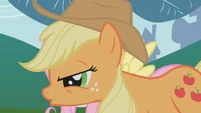 You look so tired, Applejack.