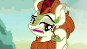 Autumn Blaze talking to her hoof S8E23.png