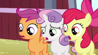 CMC shocked at Babs S3E4