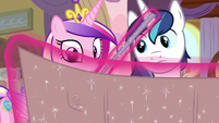 Cadance and Shining Armor look at the schedule S7E22